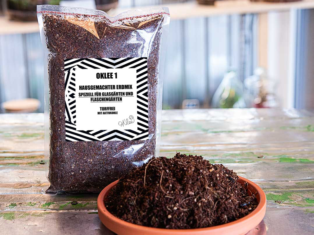 oKlee 1 Hausgemachter Erdmix - Speziell für Glasgärten und Flaschengärten (torffrei)