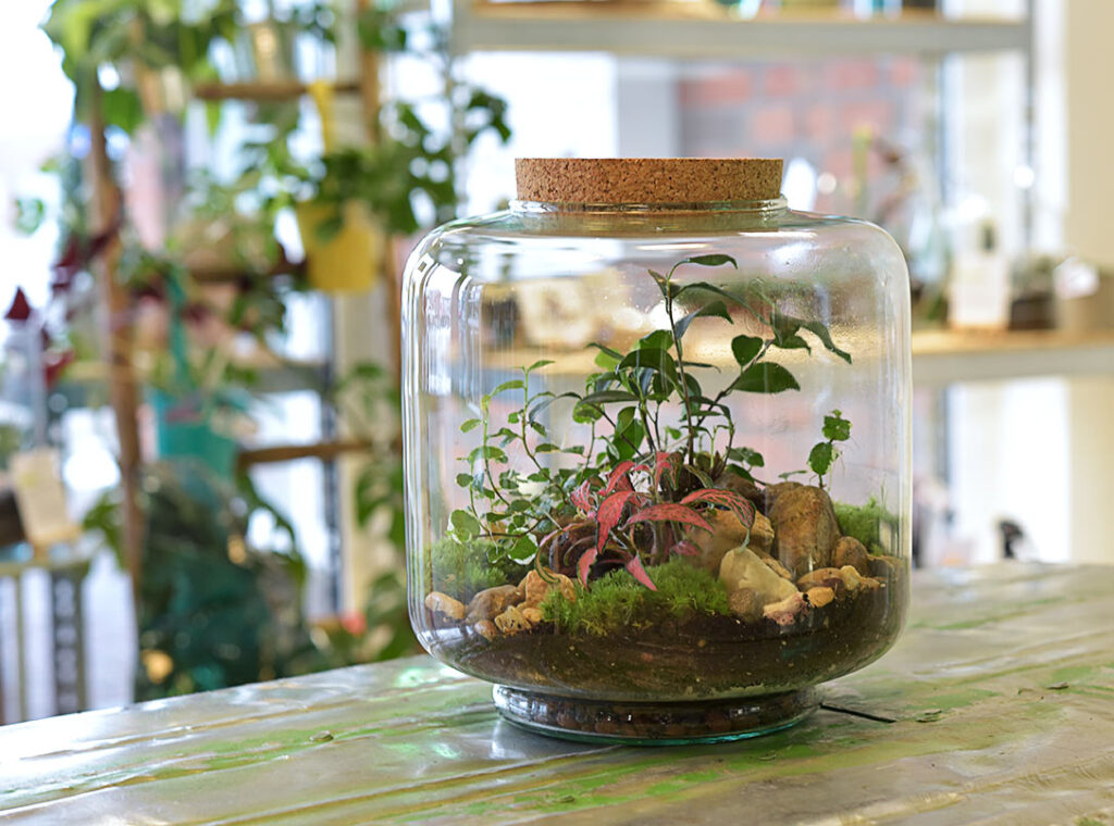 Ein eigener Glasgarten lokal aus Schleswig-Holstein