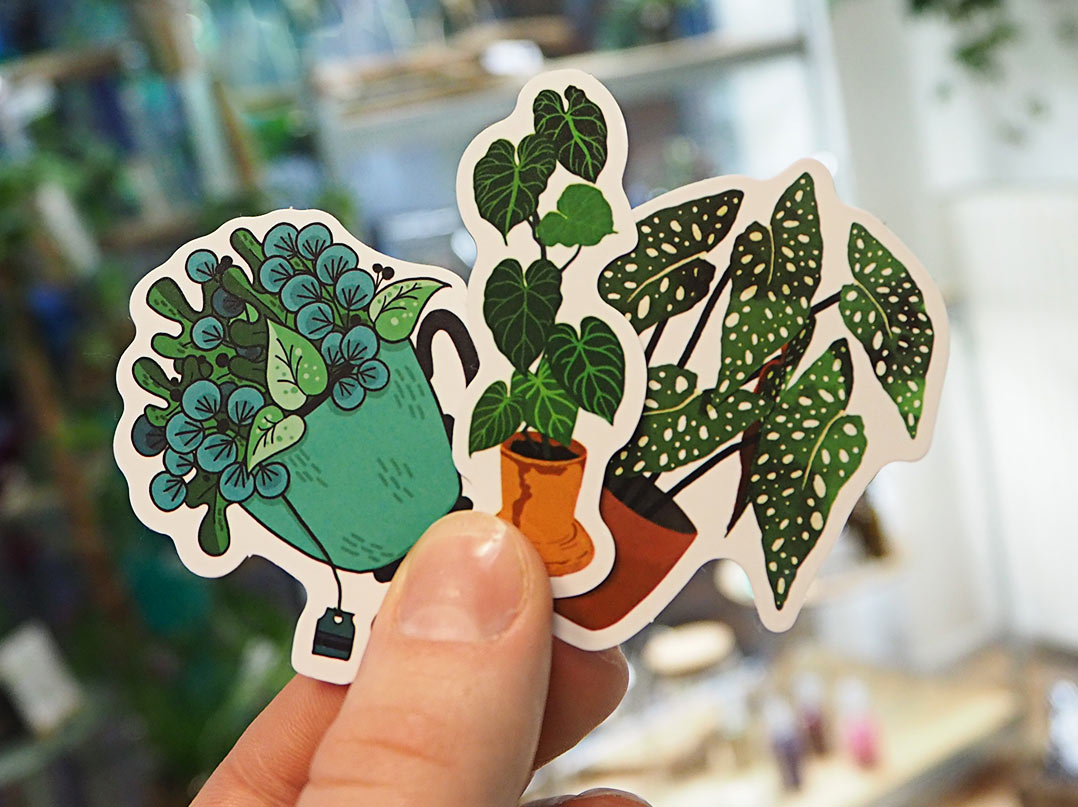 Hochwertige Zimmerpflanzen Sticker / House plant / Sticker für Pflanzenliebhaber