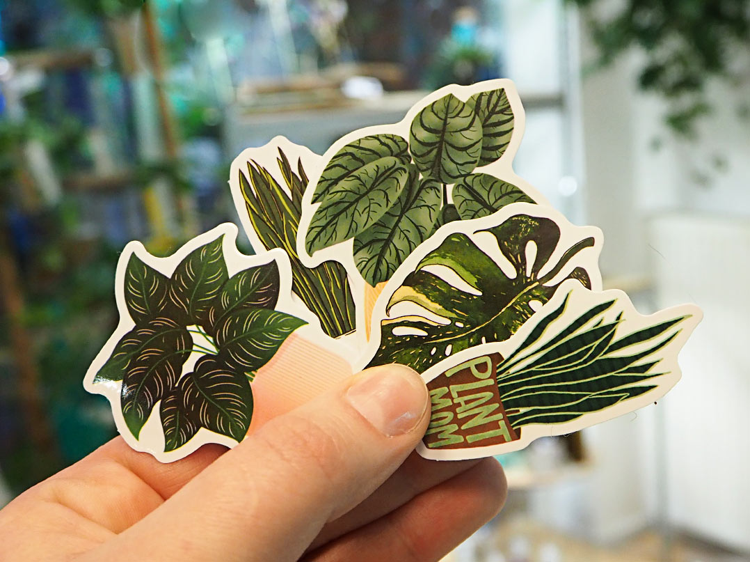 Hochwertige Zimmerpflanzen Sticker / House plant / Sticker für Pflanzenliebhaber