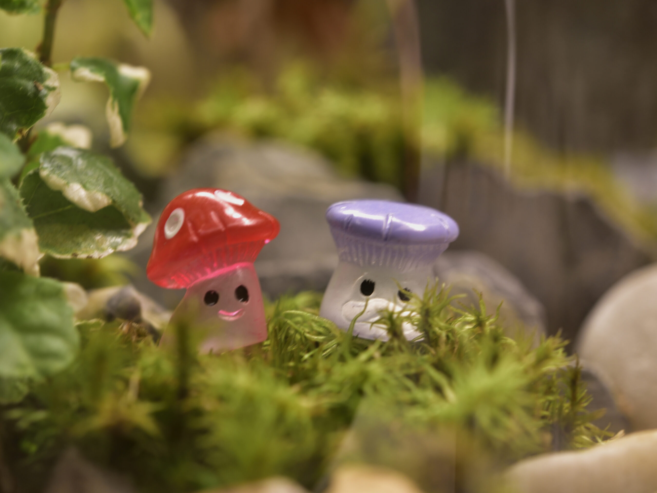Leuchtender Pilz als Dekoration für deinen Glasgarten, Flaschengarten oder Terrarium