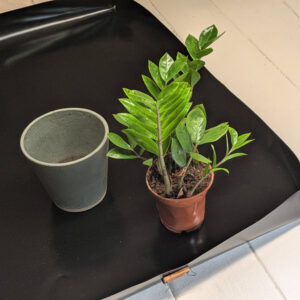 Umtopfmatte und Bastelmatte mit aufstellbarem Rand – wasserdicht & abwischbar (67 x 92 cm)