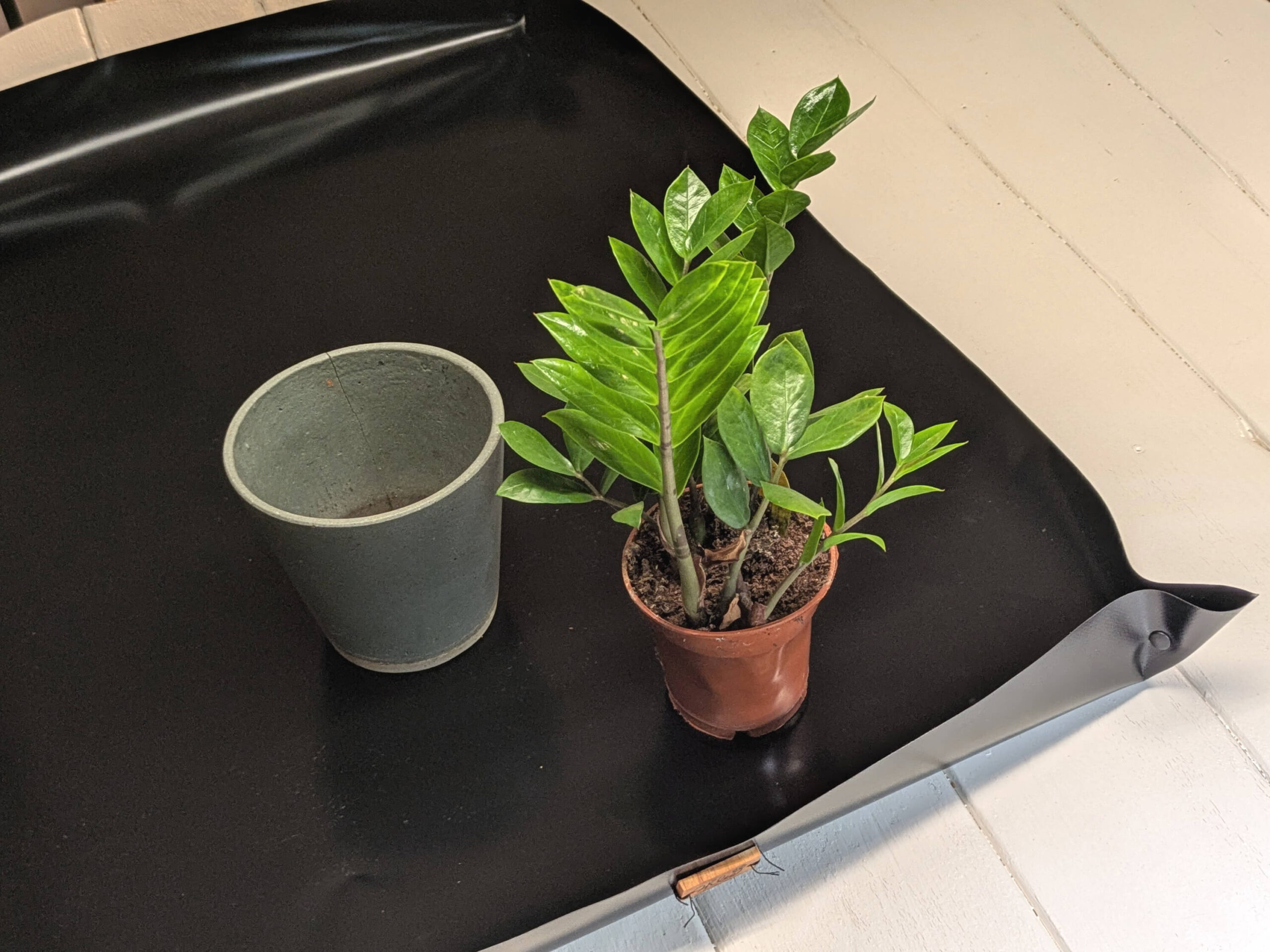 Umtopfmatte und Bastelmatte mit aufstellbarem Rand – wasserdicht & abwischbar (67 x 92 cm)