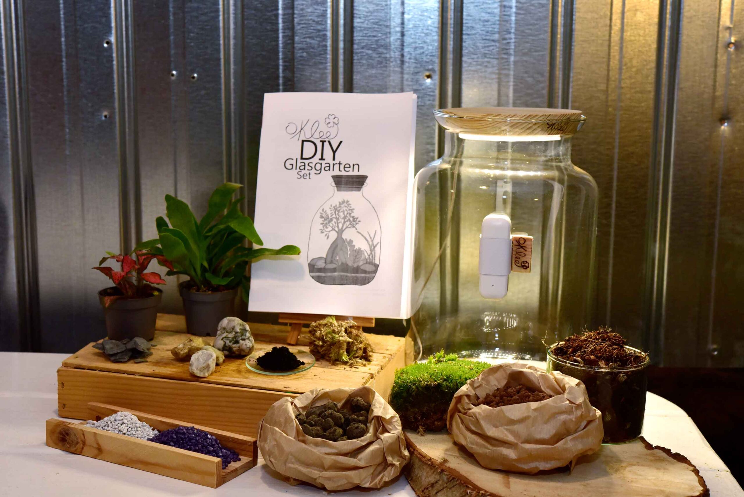 Tech-Tilda - Smarter Flaschengarten mit Temperatur und Feuchtigkeitssensor