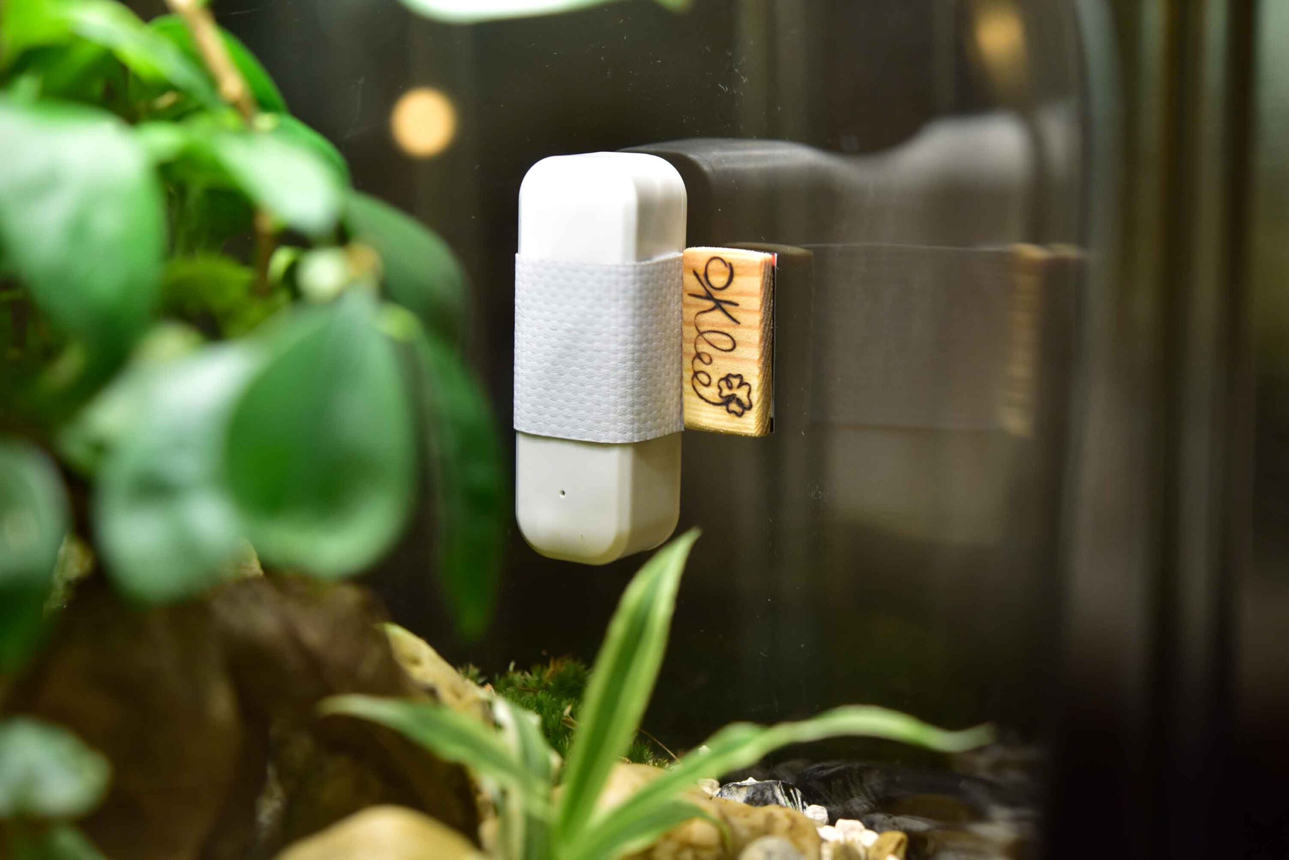 Tech-Tilda - Smarter Flaschengarten mit Temperatur und Feuchtigkeitssensor