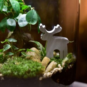 Beton-Elchfigur als Glasgarten-Dekoration, direkt im bepflanzten Terrarium gezeigt – stimmungsvolle Geschenkidee für Natur- und Deko-Fans.