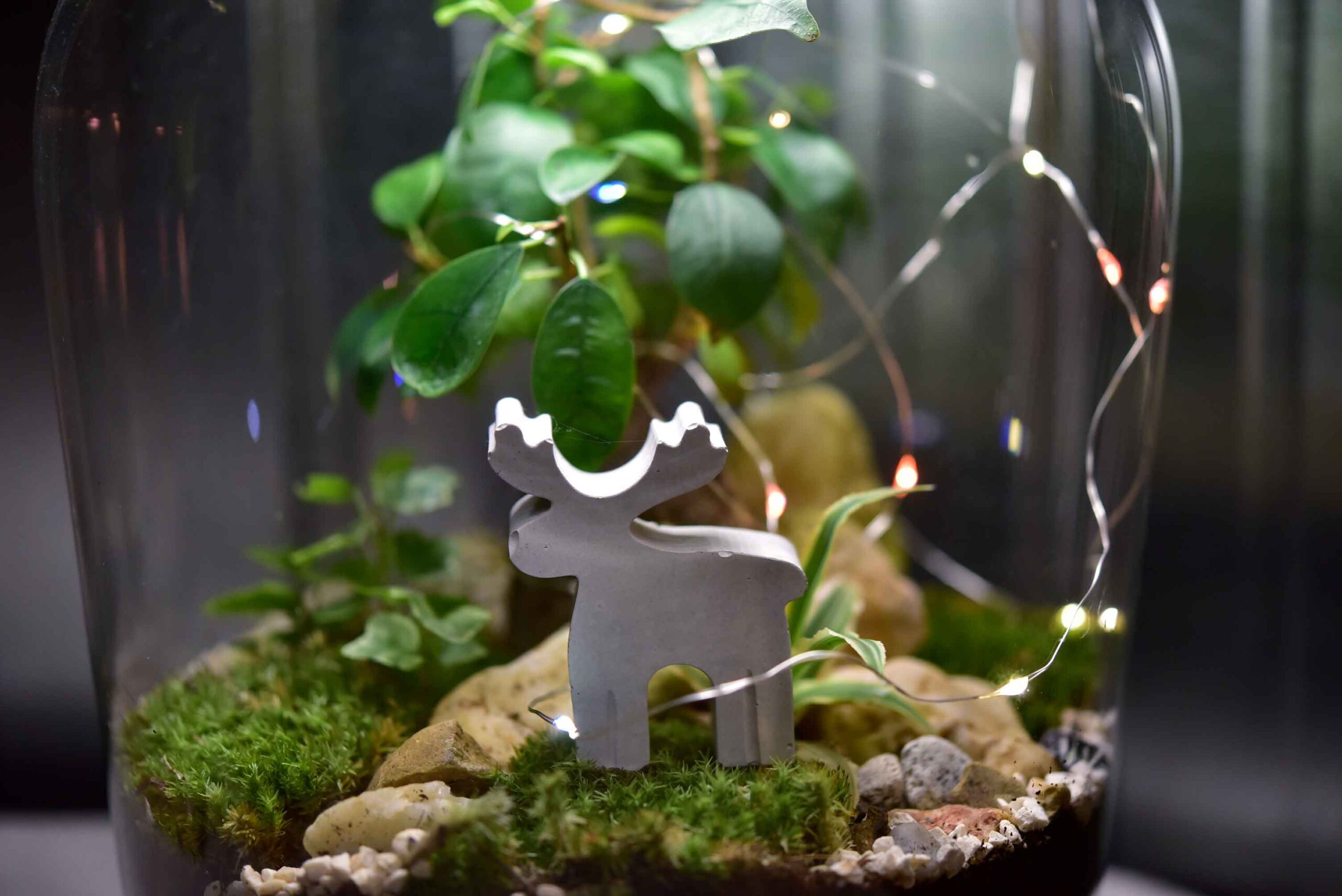 Weihnachts-Set „Betonelch & Lichterzauber“ – Festliche Flaschengarten-Deko mit LED-Lichterkette