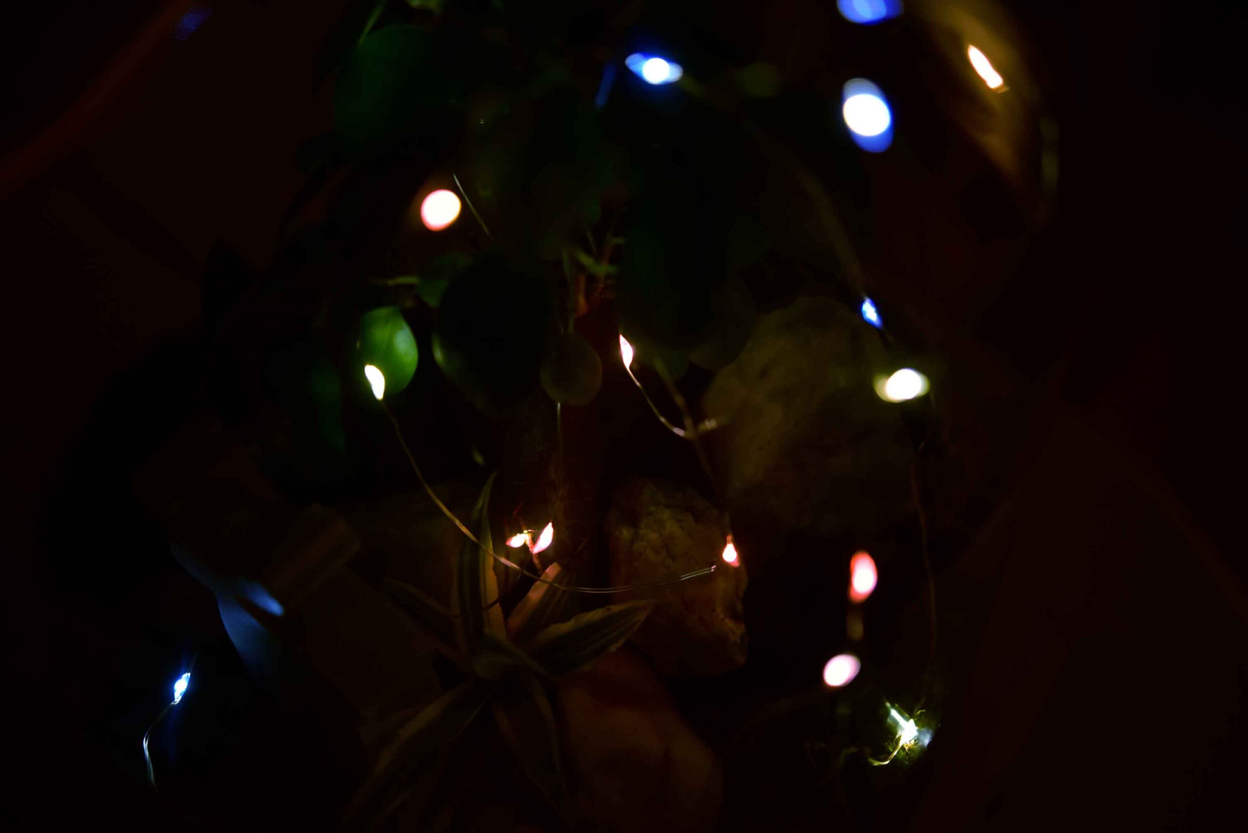 Weihnachts-Set „Betonelch & Lichterzauber“ – Festliche Flaschengarten-Deko mit LED-Lichterkette