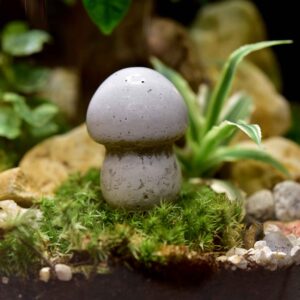Beton-Pilzfigur als Glasgarten-Deko im bepflanzten Terrarium – liebevolle Miniatur als Geschenkidee für Moosgärten, Glasgärten und Indoor-Deko.