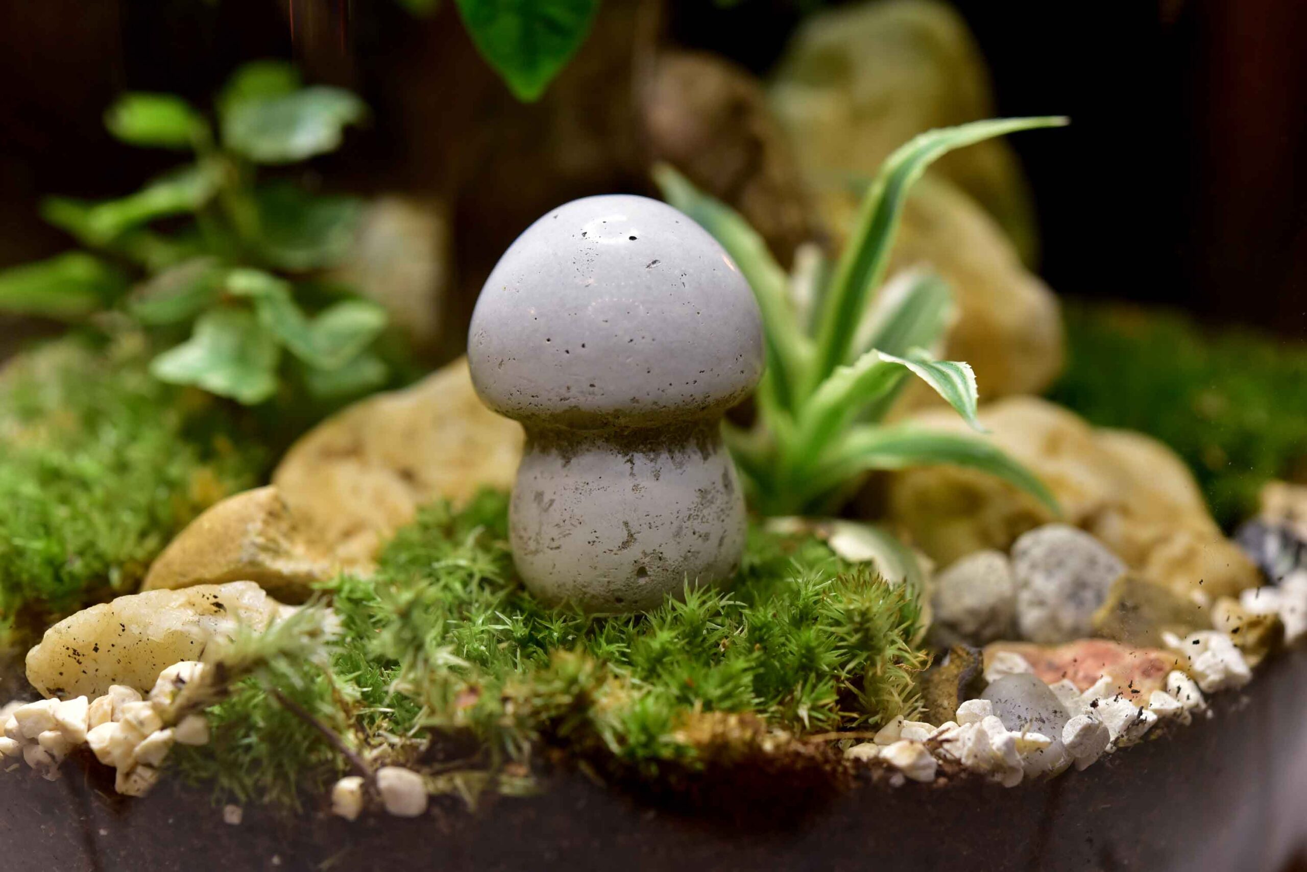 Handgefertigter Betonpilz mit Erdspieß – dekoratives Highlight für Pflanzen und Gärten