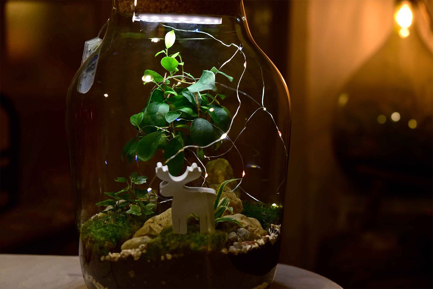 Weihnachts-Set „Betonelch & Lichterzauber“ – Festliche Flaschengarten-Deko mit LED-Lichterkette